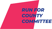 RUN FOR COUNTY COMMITTEE